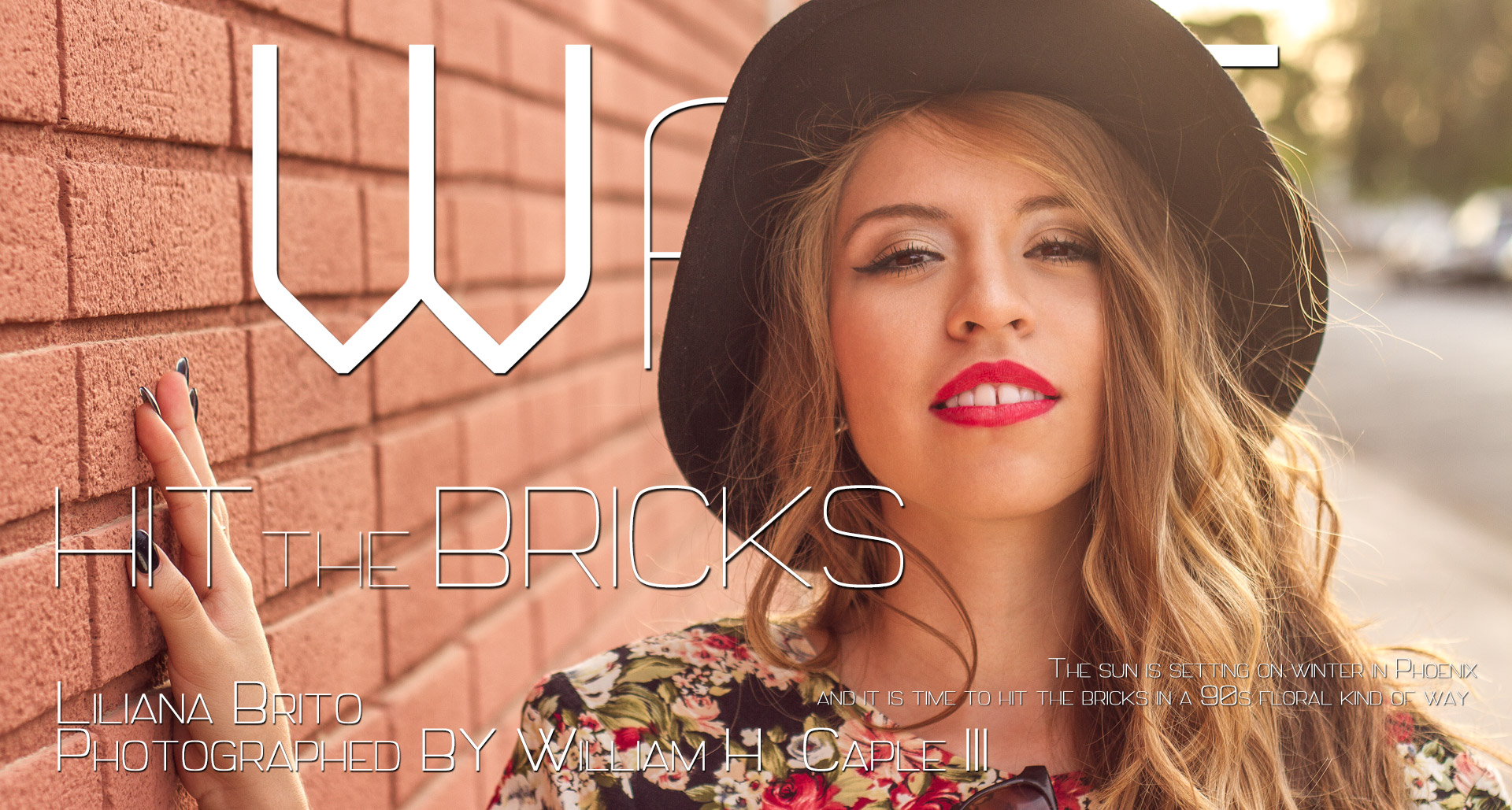 Will Asked Me Too™ | Liliana Brito  |  Hit The Bricks  |  Vol 02 Issue 16  |  willaskedmetoo.com