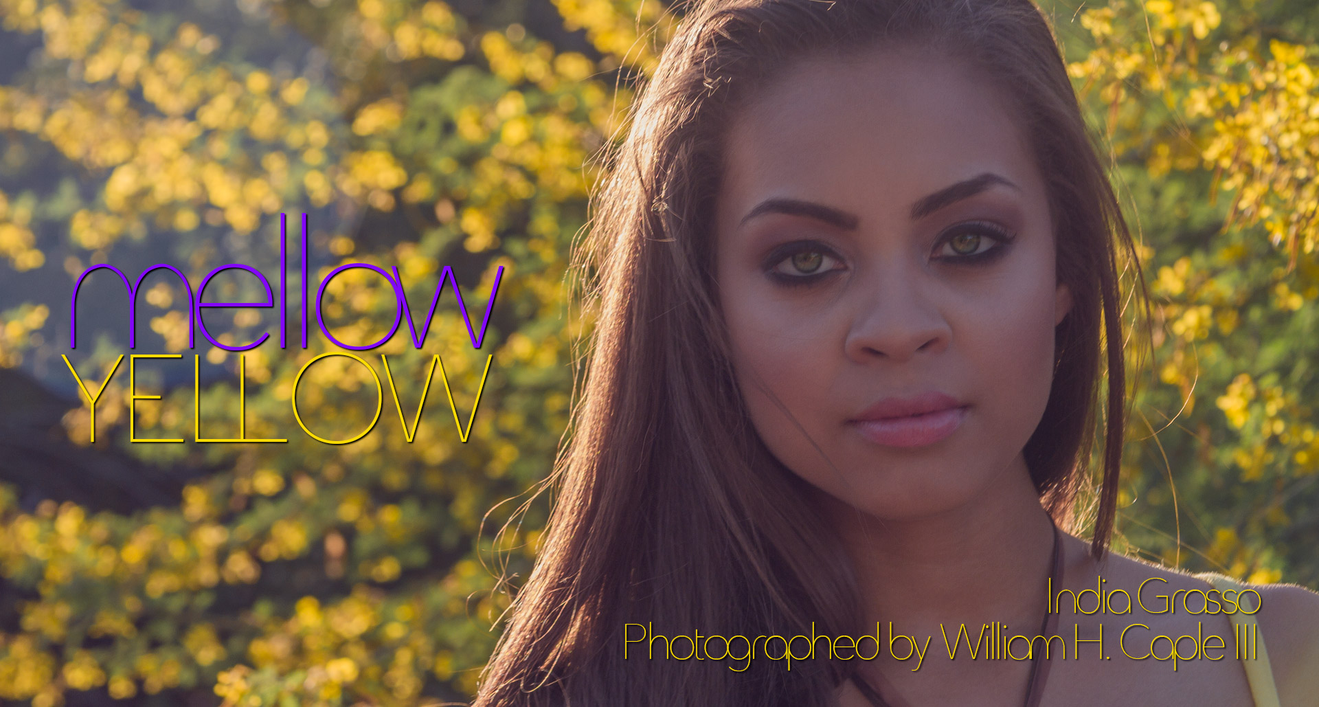 Will Asked Me Too™ | India Grasso  |  Mellow Yellow  |  Volume 01 Issue 12  |  willaskedmetoo.com