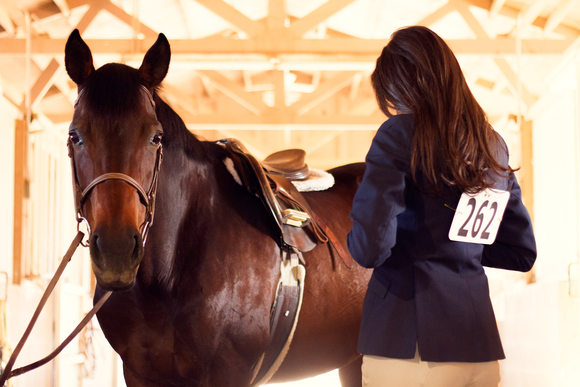 Will Asked Me Too™ | Lauren Galdarisi  |  Equestrian Love |  Volume 02 Issue 15  |  willaskedmetoo.com