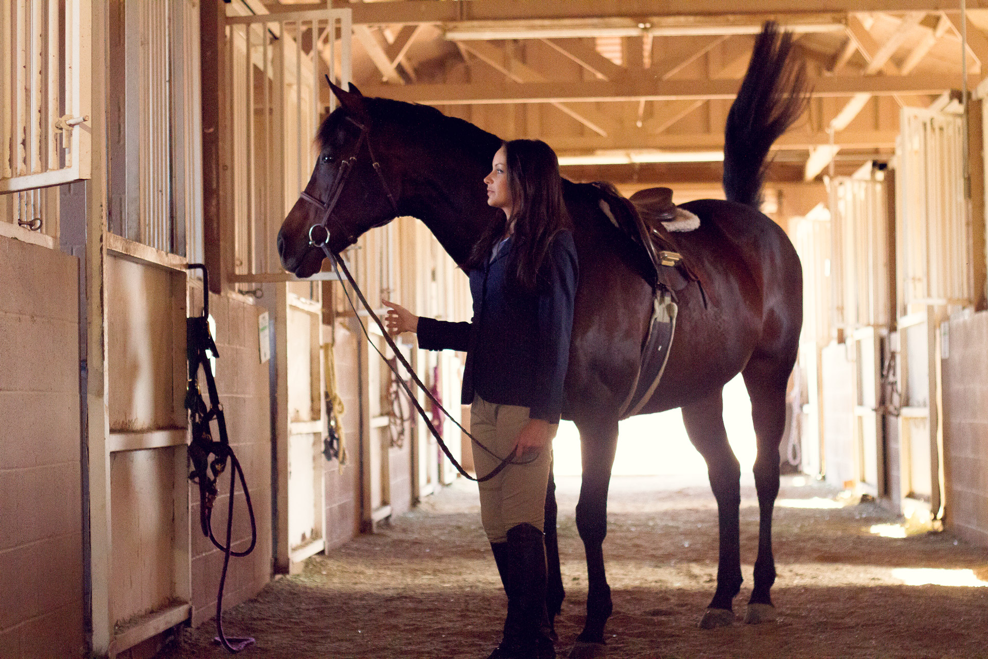 Will Asked Me Too™ | Lauren Galdarisi  |  Equestrian Love |  Volume 02 Issue 15  |  willaskedmetoo.com