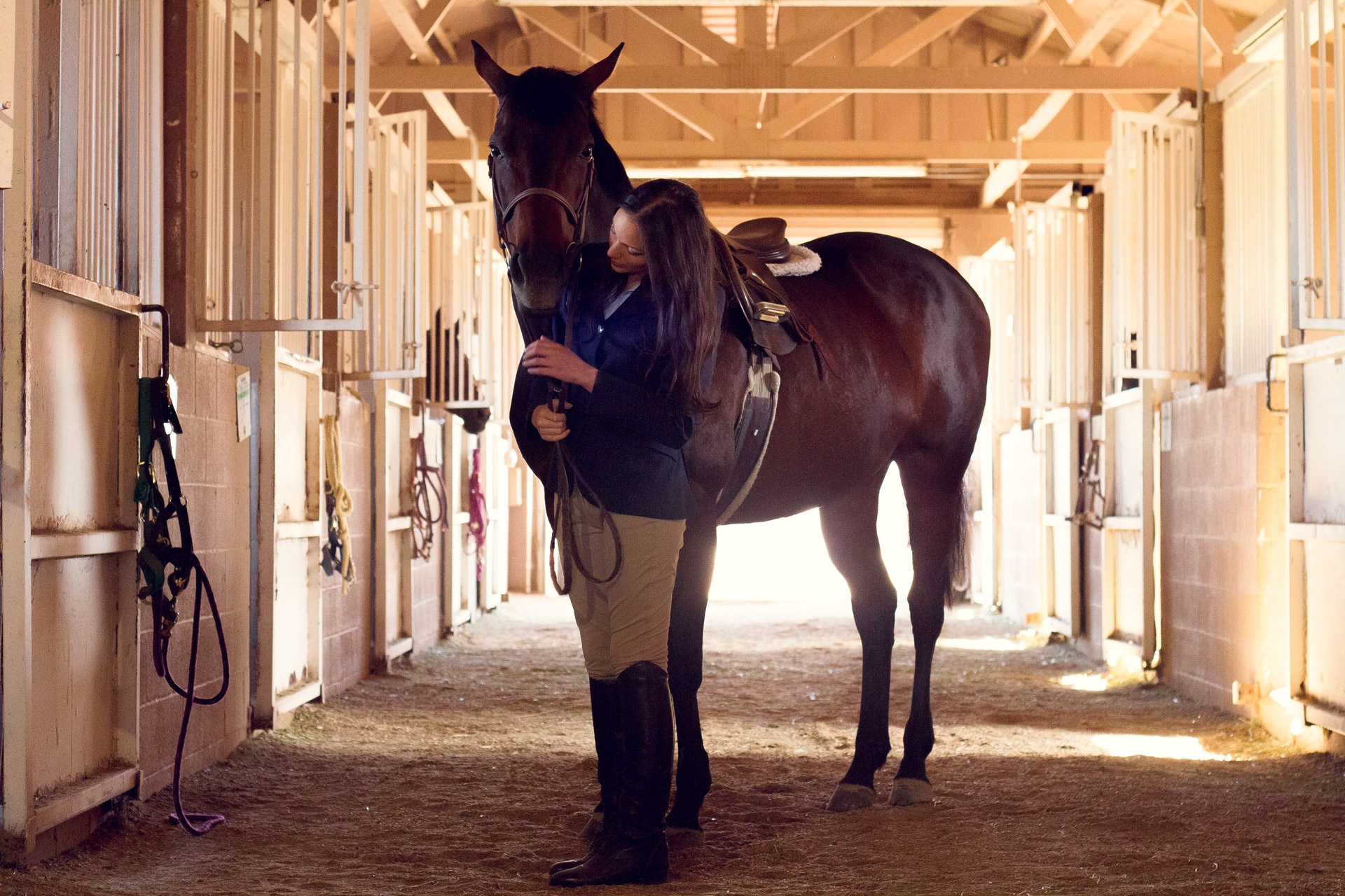 Will Asked Me Too™ | Lauren Galdarisi  |  Equestrian Love |  Volume 02 Issue 15  |  willaskedmetoo.com