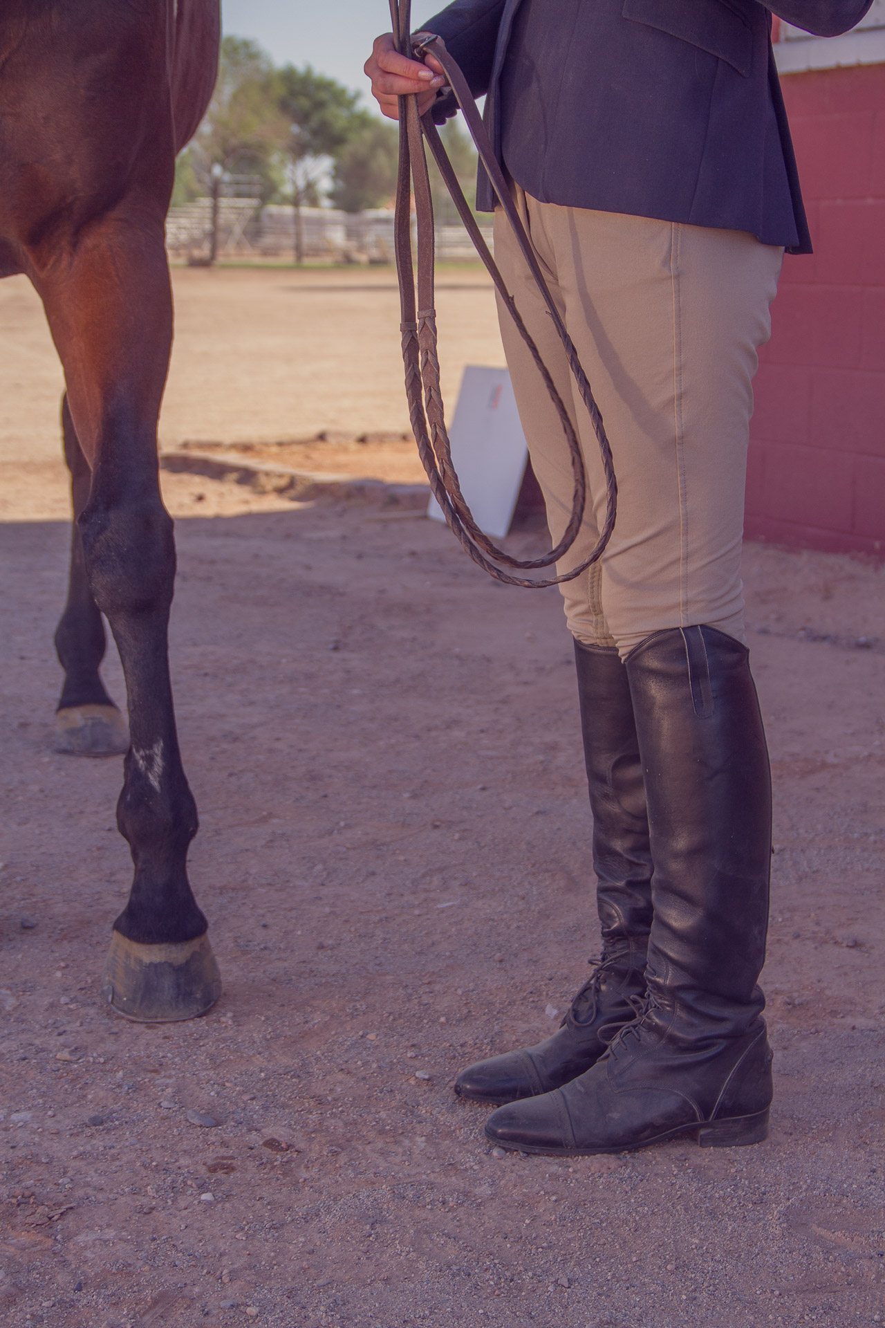 Will Asked Me Too™ | Lauren Galdarisi  |  Equestrian Love |  Volume 02 Issue 15  |  willaskedmetoo.com