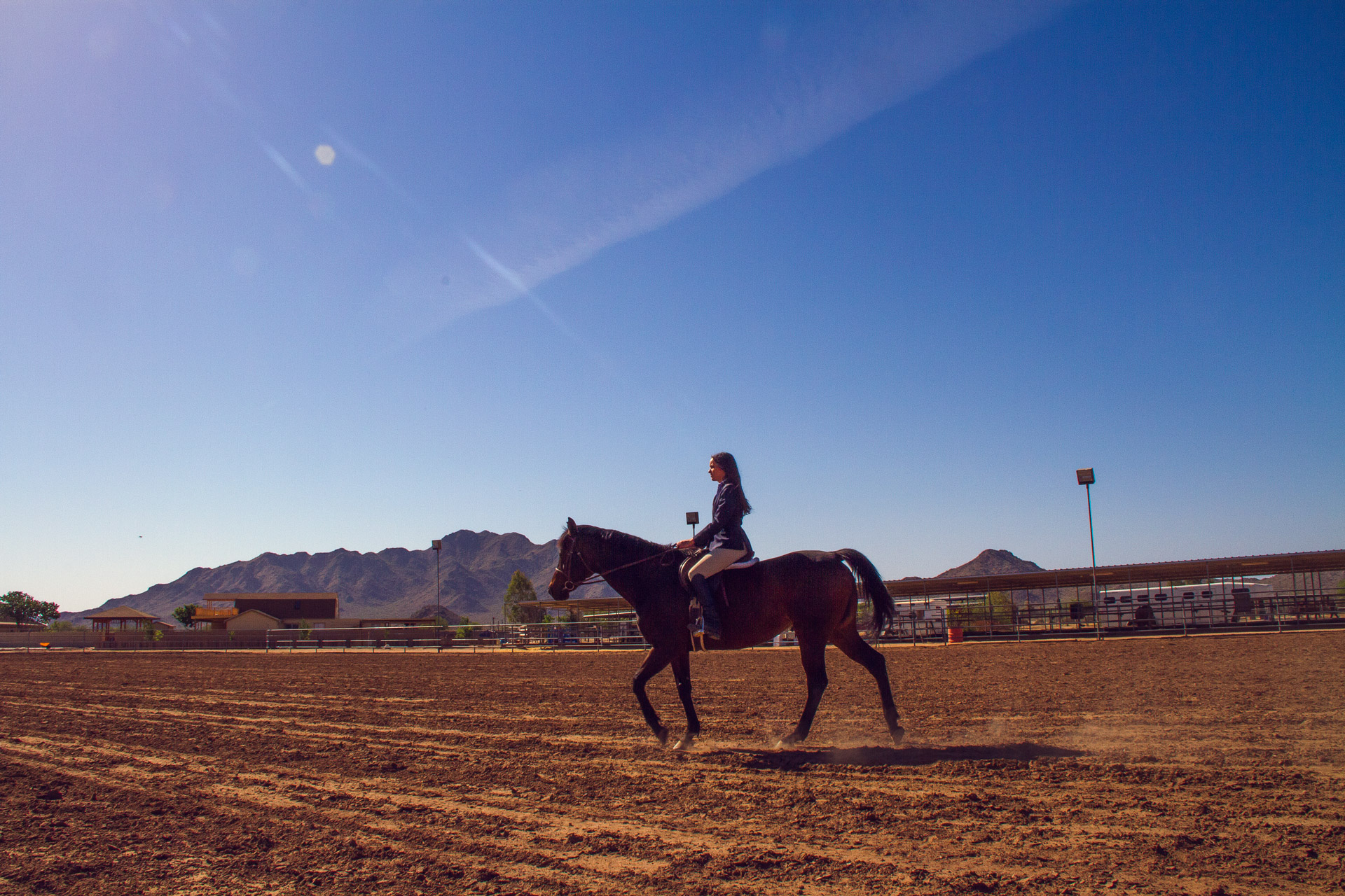 Will Asked Me Too™ | Lauren Galdarisi  |  Equestrian Love |  Volume 02 Issue 15  |  willaskedmetoo.com