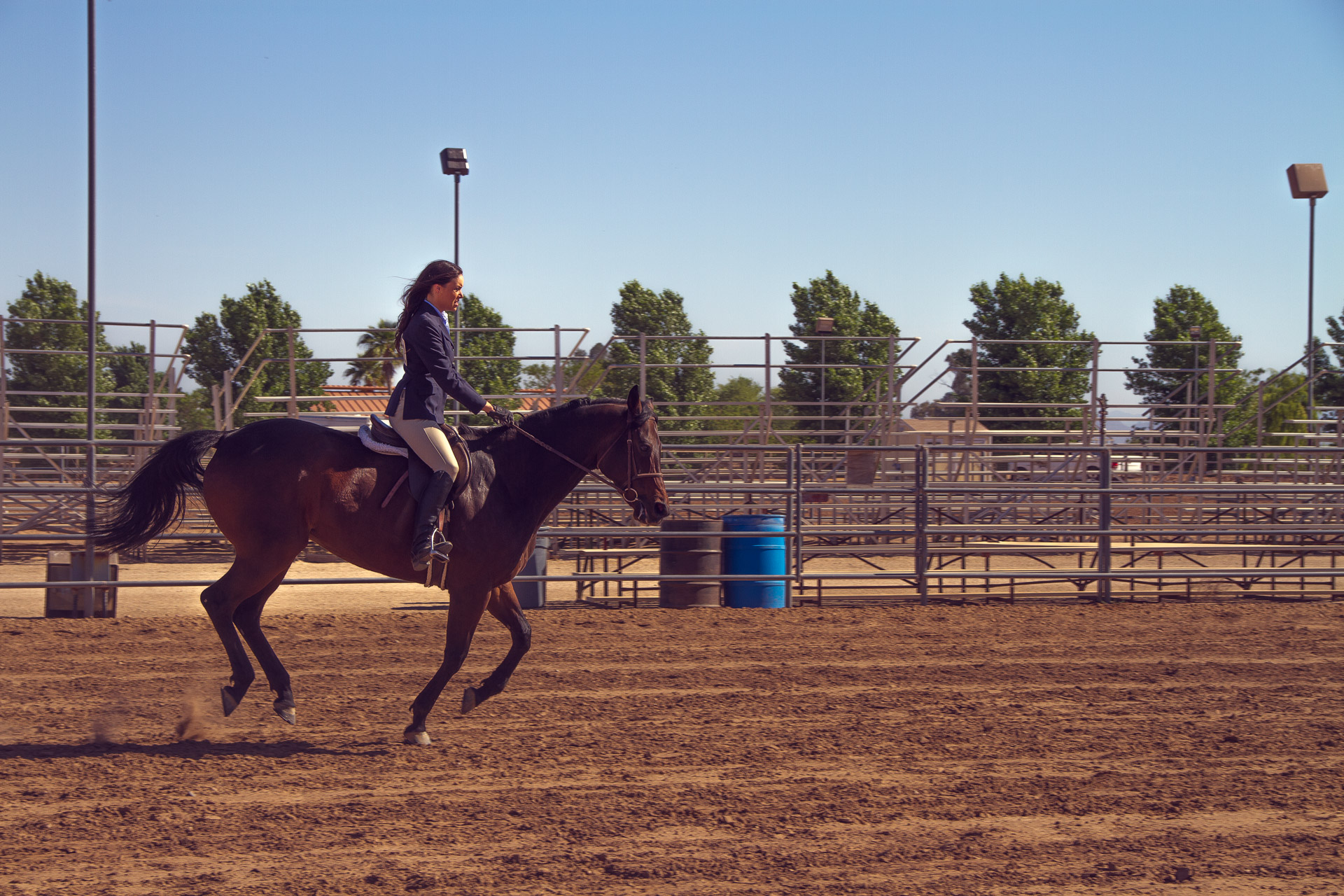 Will Asked Me Too™ | Lauren Galdarisi  |  Equestrian Love |  Volume 02 Issue 15  |  willaskedmetoo.com