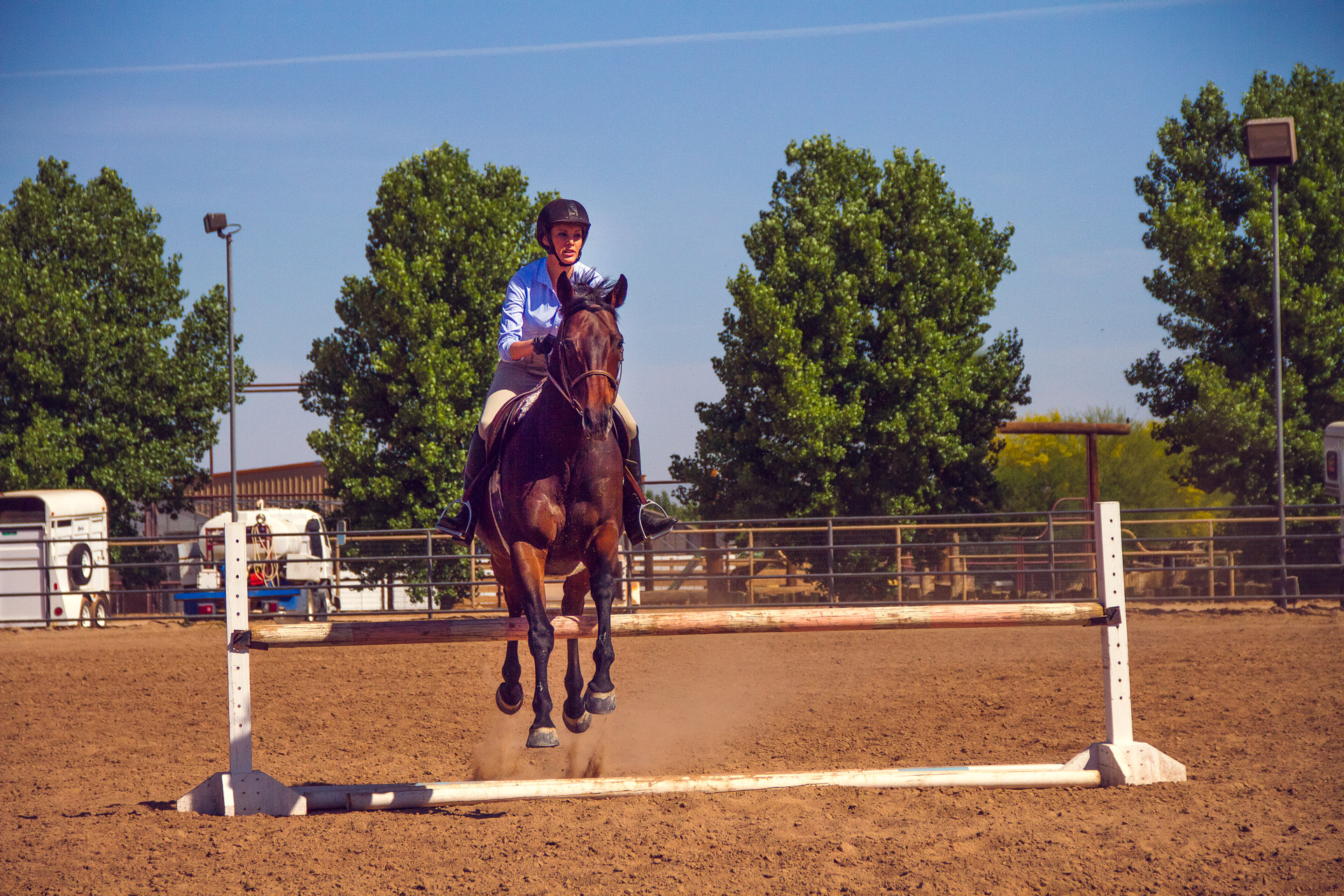 Will Asked Me Too™ | Lauren Galdarisi  |  Equestrian Love |  Volume 02 Issue 15  |  willaskedmetoo.com